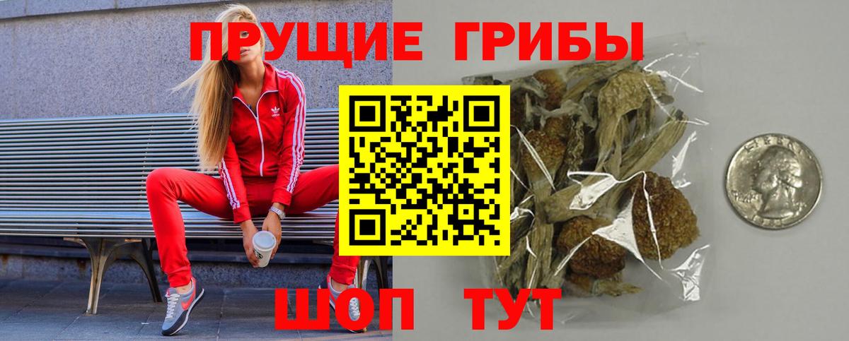 Псилоцибиновые грибы ЛСД  Вход с VPN  Карачаевск  магазин продажи   Галлюциногенные грибы мицелий 